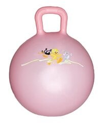 Šokinėjimo kamuolys vaikams Fun Ball Looney Tunes 45 cm, rožinis kaina ir informacija | Gimnastikos kamuoliai | pigu.lt