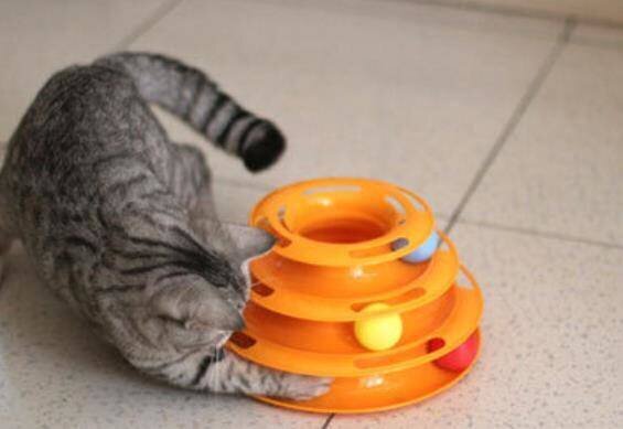 Žaislas katėms bokštas su kamuoliukais цена и информация | Žaislai katėms | pigu.lt