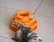 Žaislas katėms bokštas su kamuoliukais kaina ir informacija | Žaislai katėms | pigu.lt