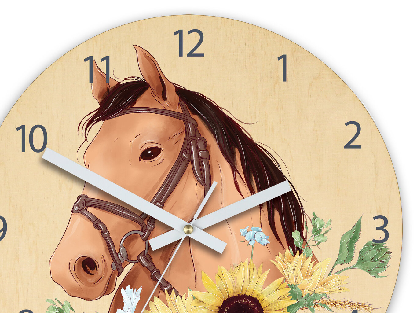 Vaikiškas sieninis laikrodis Žirgelis цена и информация | Laikrodžiai | pigu.lt