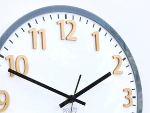 Sieninis laikrodis Hakuro kaina ir informacija | Laikrodžiai | pigu.lt