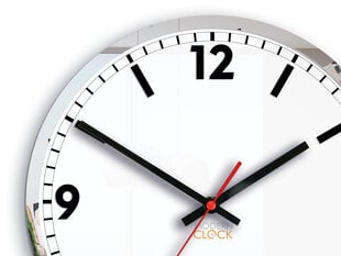 Sieninis laikrodis Solar kaina ir informacija | Laikrodžiai | pigu.lt