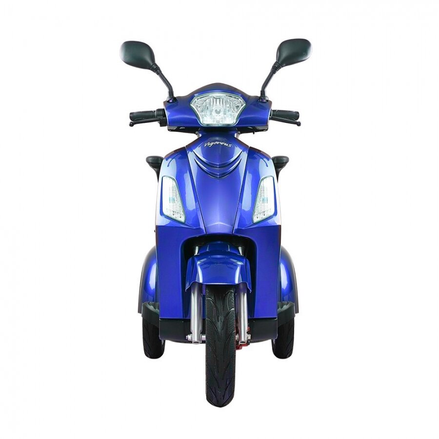 Elektrinis triratis Vista1 1000 W 20 Ah Li-ion, mėlynas цена и информация | Elektriniai motoroleriai | pigu.lt