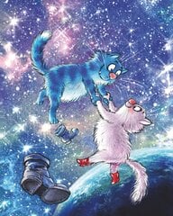 Deimantinė mozaika su rėmeliu TM Varvikas Cats - In The Universe LG274e 40x50 cm kaina ir informacija | Deimantinės mozaikos | pigu.lt