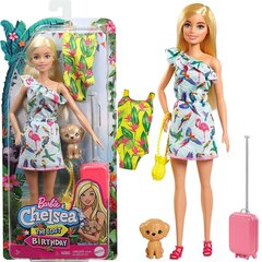 Lėlė Chelsea Barbie su šuniuku kaina ir informacija | Žaislai mergaitėms | pigu.lt