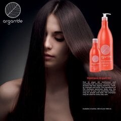 Drėkinamasis plaukų šampūnas su argano aliejumi Stapiz, 300 ml kaina ir informacija | Šampūnai | pigu.lt