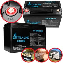 Аккумулятор Extralink LiFePO4 100Ач 12,8В, BMS цена и информация | Akumuliatoriai | pigu.lt