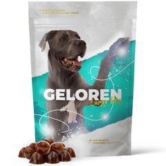 Papildas sąnariams Geloren Large Dog, 420 g, 60 vnt. kaina ir informacija | Vitaminai, papildai, antiparazitinės priemonės katėms | pigu.lt