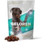 Papildas sąnariams Geloren Large Dog, 420 g, 60 vnt. цена и информация | Vitaminai, papildai, antiparazitinės priemonės katėms | pigu.lt