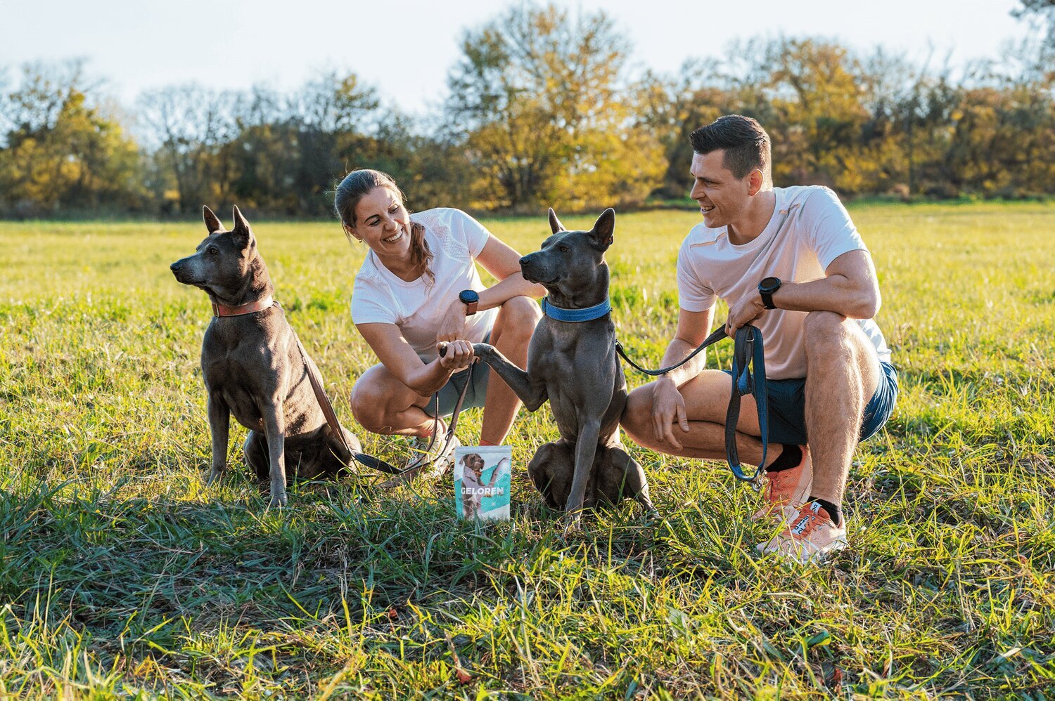 Papildas sąnariams Geloren Large Dog, 420 g, 60 vnt. цена и информация | Vitaminai, papildai, antiparazitinės priemonės katėms | pigu.lt