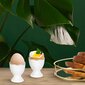 Pearl Gold kiaušinių padėklas kaina ir informacija | Indai, lėkštės, pietų servizai | pigu.lt