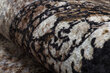 Rugsx kilimas Miro 220x160 cm kaina ir informacija | Kilimai | pigu.lt