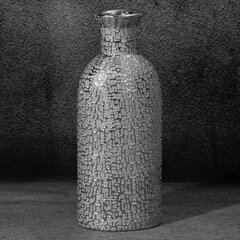 Vaza Riso 11 cm kaina ir informacija | Vazos | pigu.lt
