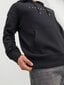 Jack & Jones džemperis vyrams, juodas цена и информация | Džemperiai vyrams | pigu.lt