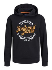 Детская толстовка Jack & Jones 12237112*01, черная, 5715428219457 цена и информация | Свитеры, жилетки, пиджаки для мальчиков | pigu.lt