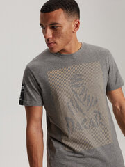 Marškinėliai vyrams Diverse 0823 s1824, pilki kaina ir informacija | Vyriški marškinėliai | pigu.lt
