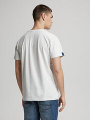 футболка assaj vii s1816 - белый меланж цена и информация | Мужские футболки | pigu.lt