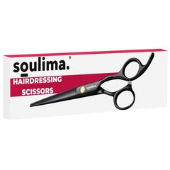 Парикмахерские ножницы Soulima 21461 цена и информация | Расчески, щетки для волос, ножницы | pigu.lt