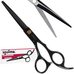 Парикмахерские ножницы Soulima 21461 цена и информация | Расчески, щетки для волос, ножницы | pigu.lt