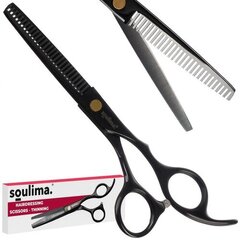Парикмахерские ножницы Soulima цена и информация | Расчески, щетки для волос, ножницы | pigu.lt