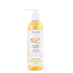 Šampūnas silpniems plaukams su imbierų ekstraktu T-LAB Ginger Anti Hair Loss Shampoo, 250 ml цена и информация | Шампуни | pigu.lt