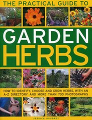 Practical Guide to Garden Herbs: How to Identify, Choose and Grow Herbs with an A-Z Directory and More Than 730 Photographs kaina ir informacija | Knygos apie sodininkystę | pigu.lt