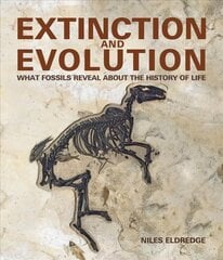 Extinction and Evolution: What Fossils Reveal about the History of Life Annotated edition цена и информация | Книги о питании и здоровом образе жизни | pigu.lt