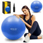 Pripučiamas gimnastikos kamuolys 4Fizjo, 65 cm, mėlynas kaina ir informacija | Gimnastikos kamuoliai | pigu.lt