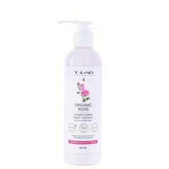 Kondicionierius visų tipų galvos odai ir plaukams T-LAB Organic Rose Daily Therapy Conditioner, 250ml kaina ir informacija | Balzamai, kondicionieriai | pigu.lt