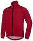Džemperis vyrams, raudonas цена и информация | Džemperiai vyrams | pigu.lt