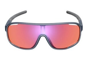 Dviratininko akiniai Shimano Eyewear Technium Dark Gray W/Ridescape Off-Road, pilki цена и информация | Спортивные очки | pigu.lt