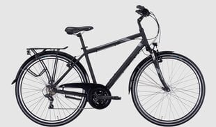 Dviratis 28 Pegasus Piazza 21g, juodas цена и информация | Велосипеды | pigu.lt