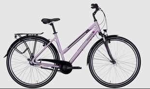 Dviratis 28 Pegasus Piazza 7g, violetinis цена и информация | Велосипеды | pigu.lt
