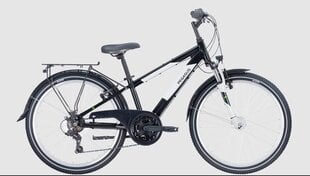 Dviratis 24 Pegasus Avanti, juodas цена и информация | Велосипеды | pigu.lt