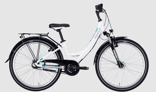 Dviratis Pegasus Avanti 7 24", baltas цена и информация | Велосипеды | pigu.lt
