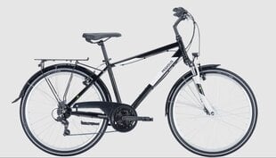 Dviratis 26 Pegasus Avanti, juodas цена и информация | Велосипеды | pigu.lt