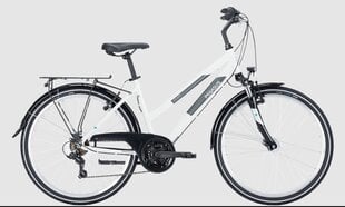 Dviratis Pegasus Avanti 26'', baltas цена и информация | Велосипеды | pigu.lt