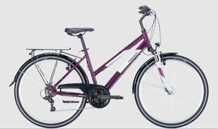 Dviratis 26 Pegasus Avanti, violetinis цена и информация | Велосипеды | pigu.lt