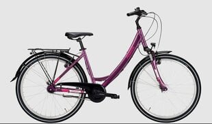 Dviratis 26 Pegasus Avanti wave 7g, violetinis цена и информация | Велосипеды | pigu.lt