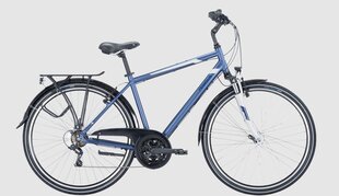 Dviratis 28 Pegasus Piazza 21 g, mėlynas цена и информация | Велосипеды | pigu.lt