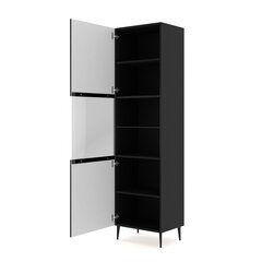 Витрина Akl Furniture Ravenna, черный цвет цена и информация | Витрины, серванты | pigu.lt