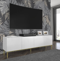 Тумба под телевизор Akl Furniture Ravenna, белая цена и информация | Тумбы под телевизор | pigu.lt