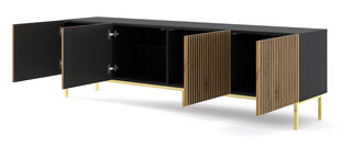 ТВ-столик Ravenna, коричневый/черный цена и информация | Тумбы под телевизор | pigu.lt