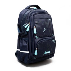 Школьный рюкзак ErichKrause SchoolLine с 2 отделениями и нагрудным ремнем 23L Blue Style цена и информация | Школьные рюкзаки, спортивные сумки | pigu.lt