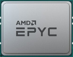 AMD Epyc 7262 (100-000000041) цена и информация | Процессоры (CPU) | pigu.lt