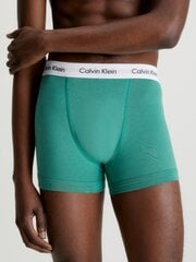 Calvin Klein trumpikės vyrams 545665277, įvairių spalvų, 3 vnt. kaina ir informacija | Trumpikės | pigu.lt