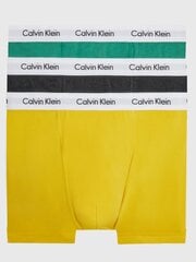 Calvin Klein trumpikės vyrams 545665277, įvairių spalvų, 3 vnt. kaina ir informacija | Trumpikės | pigu.lt