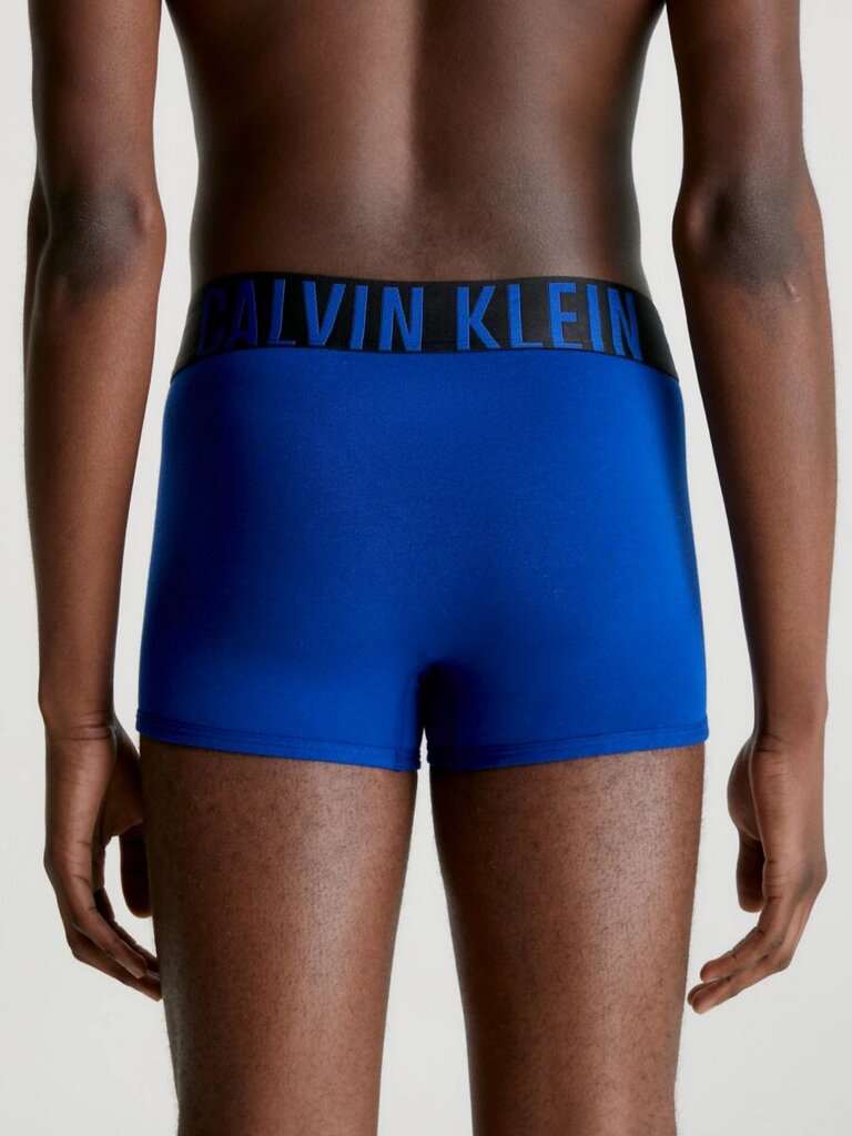 Calvin Klein trumpikės vyrams 545665291, žalios/mėlynos, 2 vnt. kaina ir informacija | Trumpikės | pigu.lt