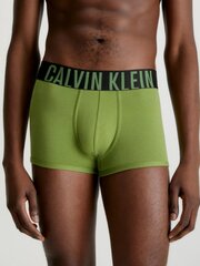 Calvin Klein trumpikės vyrams 545665291, žalios/mėlynos, 2 vnt. kaina ir informacija | Calvin Klein Apatinis trikotažas vyrams | pigu.lt