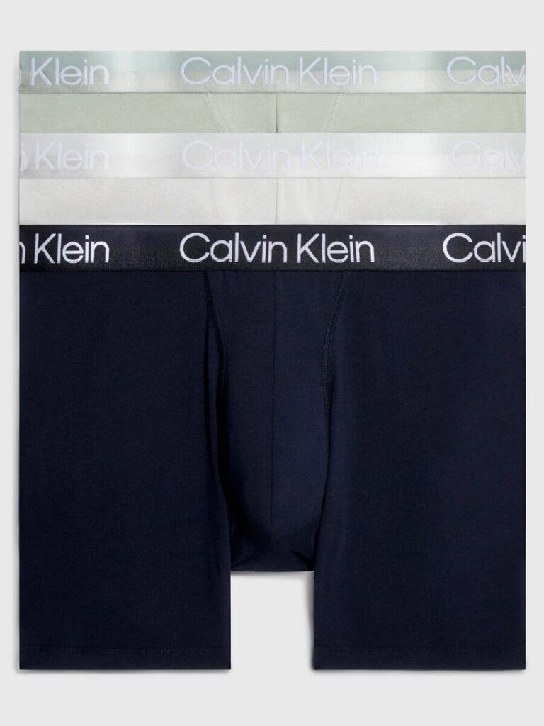 Calvin Klein trumpikės vyrams 545665296, įvairių spalvų, 3 vnt. цена и информация | Trumpikės | pigu.lt